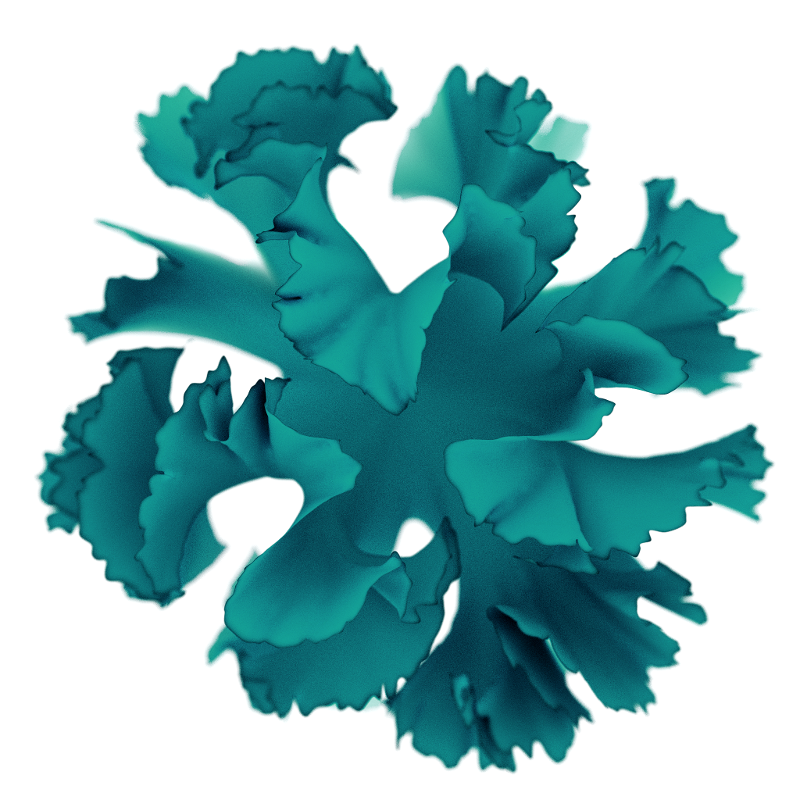 differential mesh 3d kelp