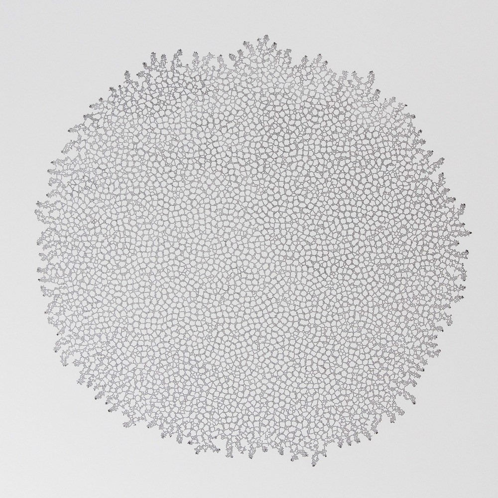 differential
    lattice