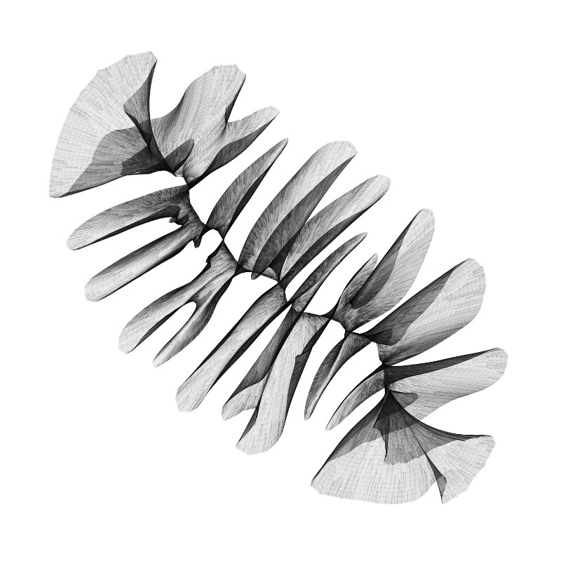 head