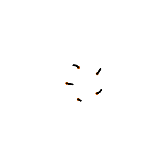 hyphae ani 2