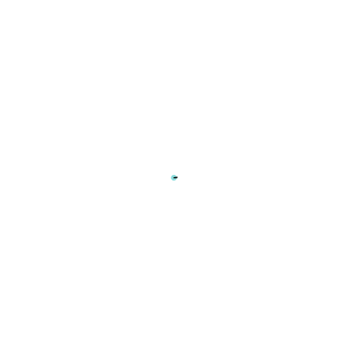 Random Walk Animation