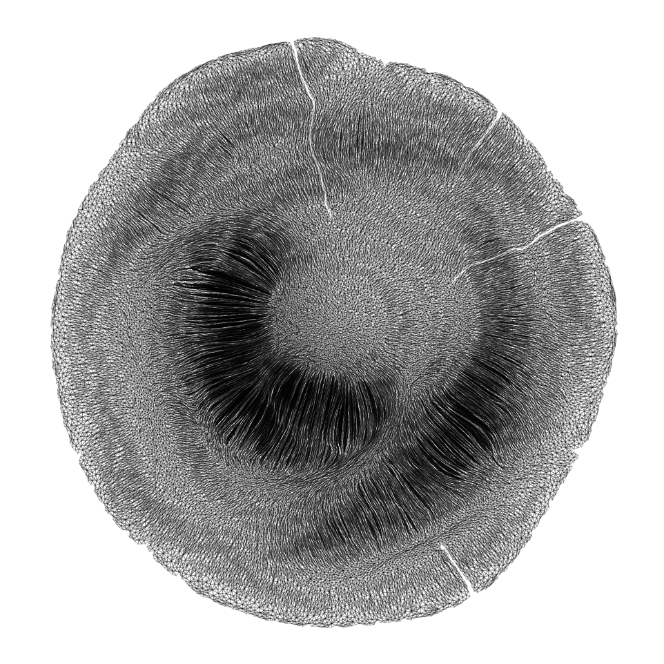Mesh C